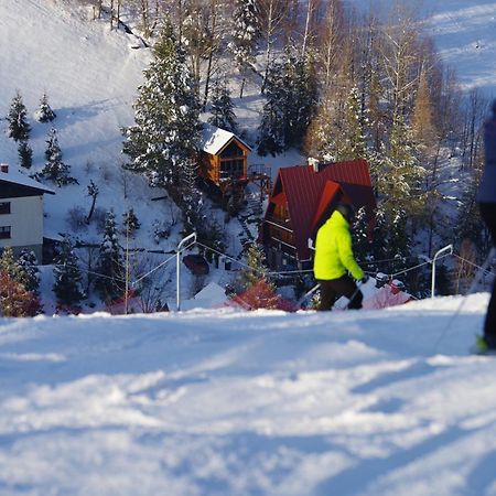 Ski House Szczyrk - Domek Na Kurzej Lapce Bagian luar foto