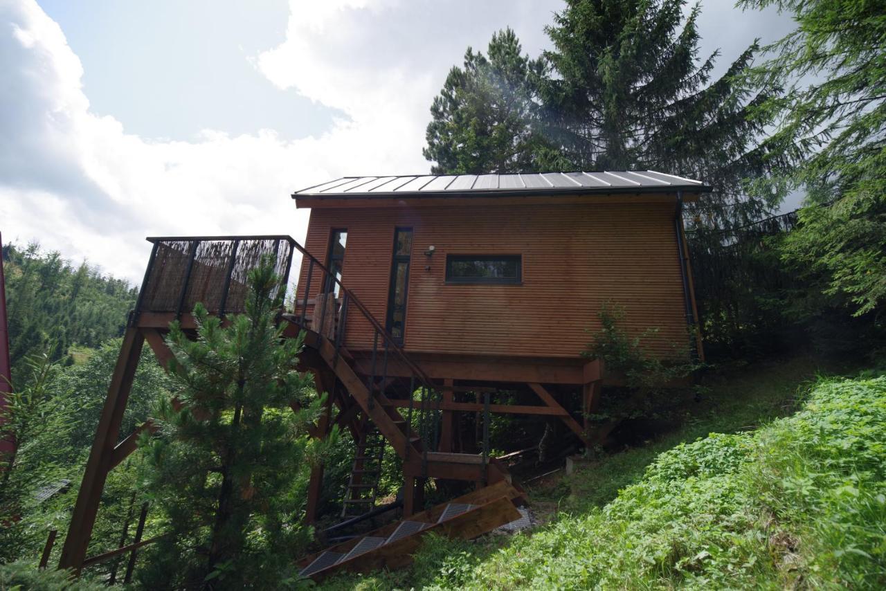 Ski House Szczyrk - Domek Na Kurzej Lapce Bagian luar foto